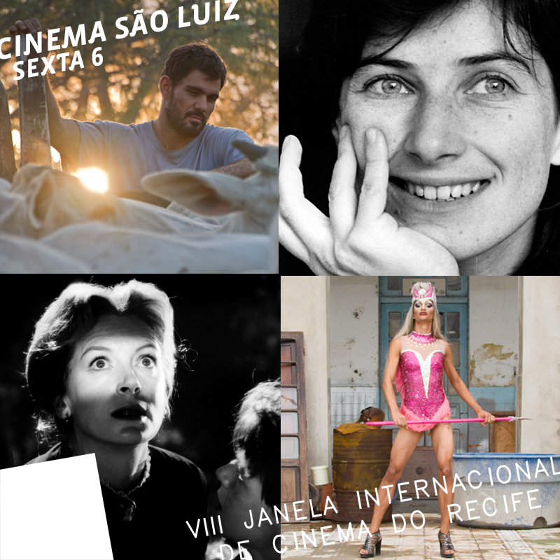 Festival inicia seu primeiro dia com o documentário Não é um filme caseiro, de Chantal Akerman, e finaliza com Boi Neon, de Gabriel Mascaro (Foto: Facebook/Janela Internacional de Cinema)